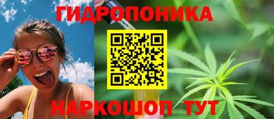 apvp Можайск